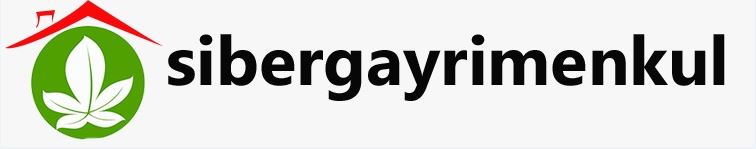 sibergayrimenkul.com